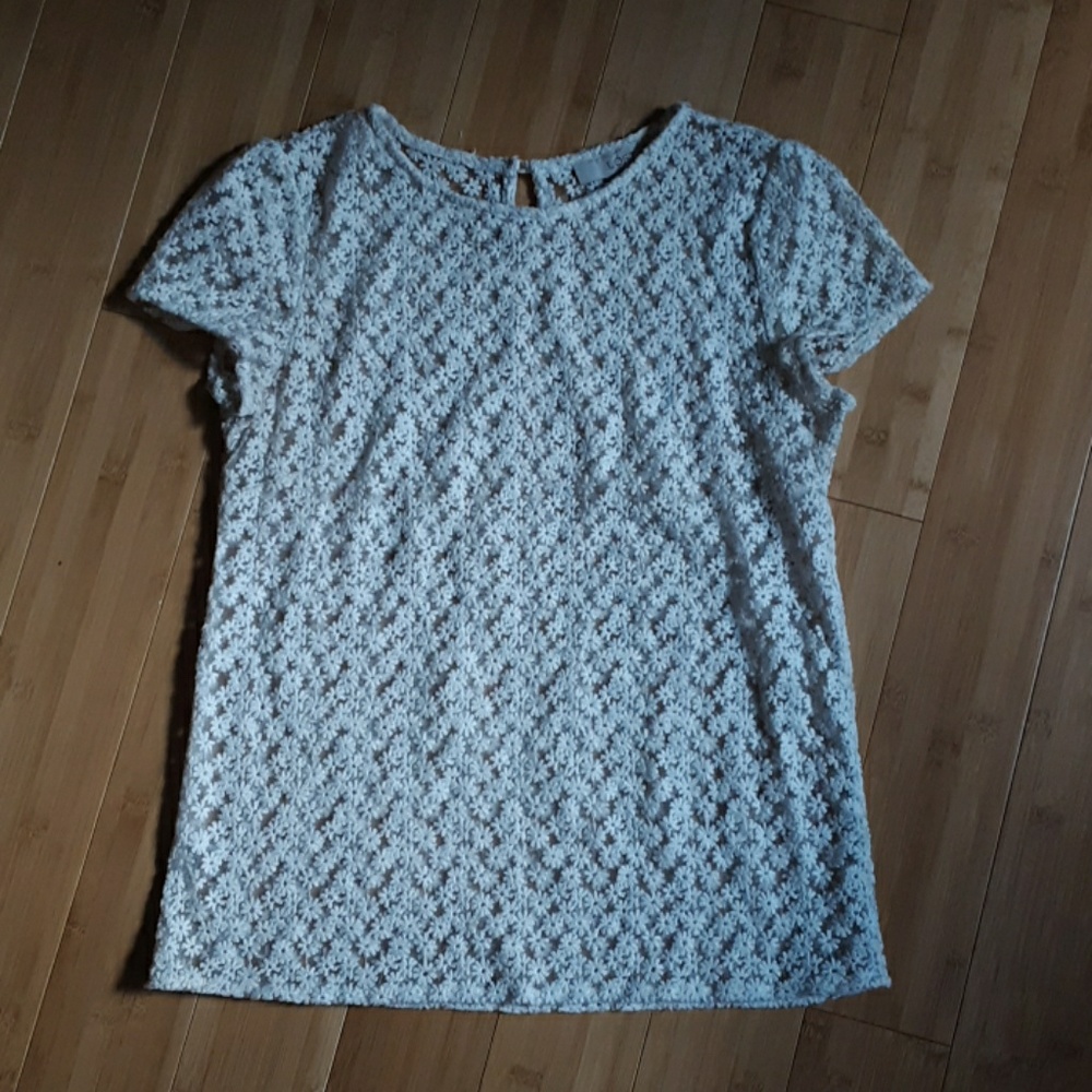 Loft Sheer Cap-Sleeve with Embroidered Flowers